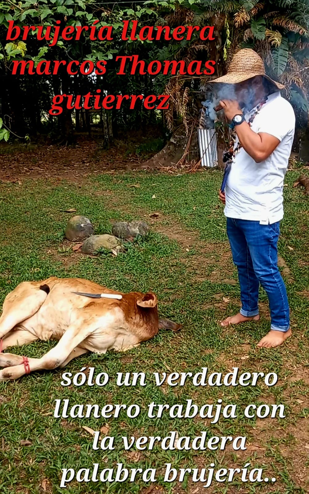 Especialista en brujería llanera tradicional